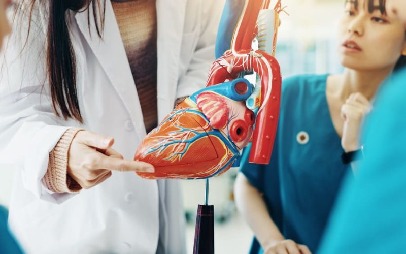 Atención médica externa en Guatemala: consultorios cómodos y especialistas en un solo lugar